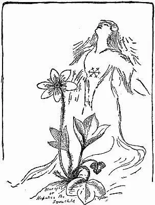 TALE 1 Blueeyes the Snow Child or The Story of Hepatica HAVE you ever - фото 2