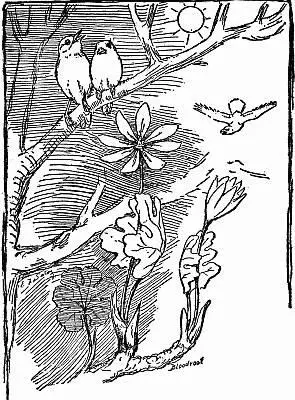 The Story of the White Dawnsinger Its bloom threads are yellow like the - фото 3