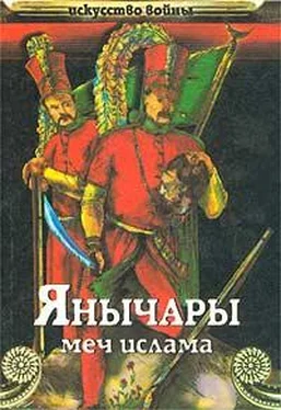 Василий Сергеев Янычары обложка книги