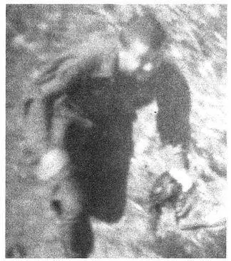 Crew chief Gene Burdick Reacher retrieved a Jeep drivers foot one of five - фото 21