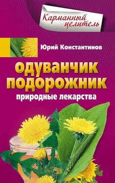 Юрий Константинов Одуванчик, подорожник. Природные лекарства обложка книги