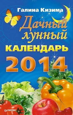 Галина Кизима Дачный лунный календарь на 2014 год обложка книги