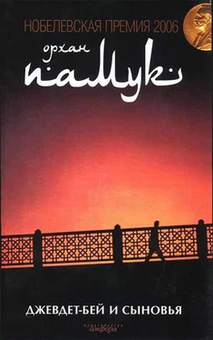 Орхан Памук Джевдет-бей и сыновья обложка книги