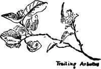 That spring morning was ever after like a new epoch in Yans mindnot his - фото 17