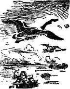 VI Glenyan Oh what a song the Wild Geese sang that year How their trumpet - фото 20