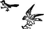 Whats that Oh a little thing like a Mouse only it isnt a Mouse at all - фото 275