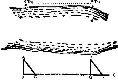 XXIX The Long Swamp The union of the tribes however was far from - фото 298