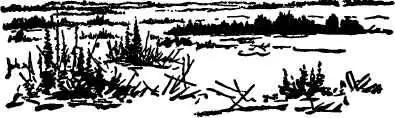 Well I saw it this time and there is water out there I saw that too He - фото 303