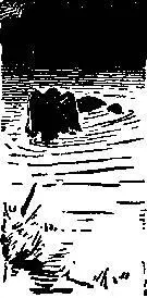 Thus they worked toward the Widdy Baggss till they came to a dry brook bed - фото 307