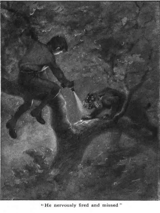 But the beast was severely wounded Its hind quarters were growing heavy It - фото 309