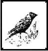 drawing of this bird Yet two other birds he saw close at hand and drew partly - фото 34