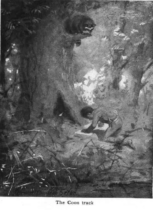 Yan took the earliest chance He sought and found a great Basswood with some - фото 38