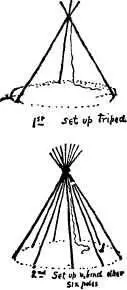Les see now I reckon thars about ten poles for a tenfoot lodge with two - фото 88