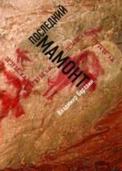 Владимир Березин - Последний мамонт