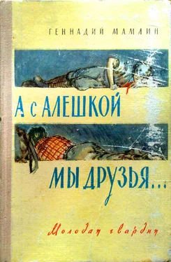 Геннадий Мамлин А с Алёшкой мы друзья обложка книги