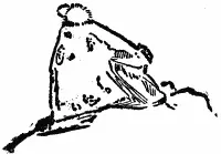 As one reaches the Golden Gate near Mammoth Hot Springs many little animals - фото 125