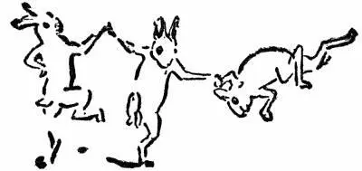 As soon as he had his camera and lantern we went cautiously to the rabbity - фото 119