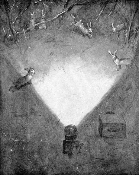 XXX Snowshoe Rabbits dancing in the light of the lantern Sketch by E T - фото 121