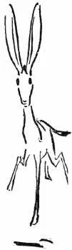 One has to see this creature with its great flopping ears and its stifflegged - фото 124