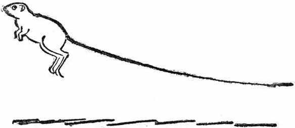 The country folk in the East will tell you that there are seven sleepers in - фото 134