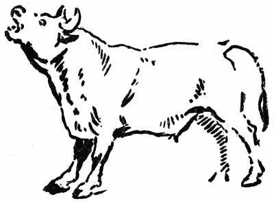 XXXVIII Sketch of the Bear Family as made on the spot By E T Seton - фото 148