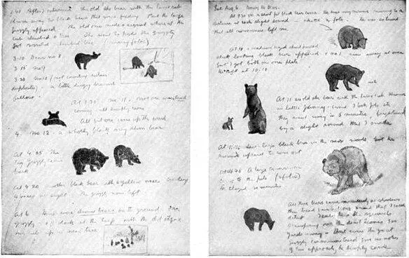 XXXIX Two pages from my journal in the garbage heap By E T Seton XII - фото 150