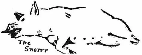 The Snorer Why is snoring a crime at night and a joke by day It seems to be - фото 151