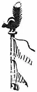 I have a profound admiration for the Skunk Indeed I once maintained that this - фото 69