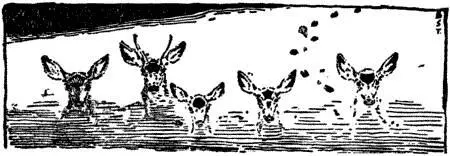 The Sandhill Stag had gathered his brood again yet now that the murderer was - фото 61