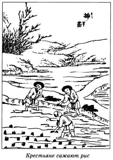 Керамические изделия продукт выдающихся достижений многих поколений китайских - фото 66