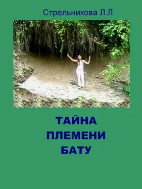 Людмила Стрельникова Тайна племени Бату обложка книги