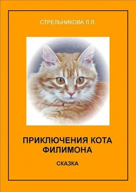 Людмила Стрельникова Приключения кота Филимона обложка книги