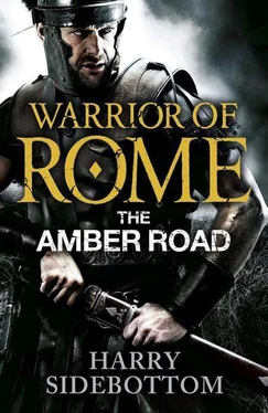 Harry Sidebottom The Amber Road обложка книги