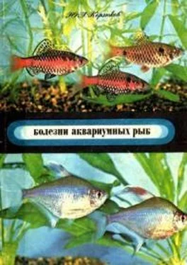 Ю Корзюков Болезни аквариумных рыб обложка книги