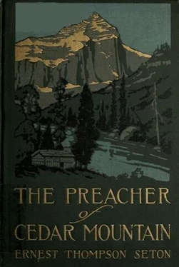 Ernest Seton The Preacher of Cedar Mountain обложка книги