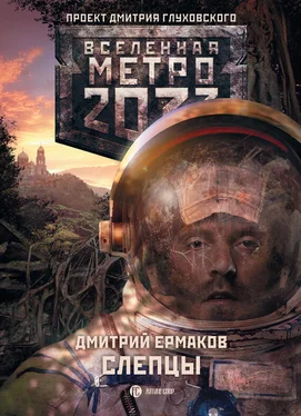 Дмитрий Ермаков Слепцы обложка книги
