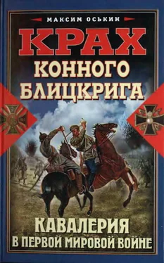 Максим Оськин Крах конного блицкрига. Кавалерия в Первой мировой войне обложка книги