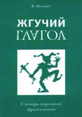 Владимир Белко Жгучий глагол: Словарь народной фразеологии обложка книги