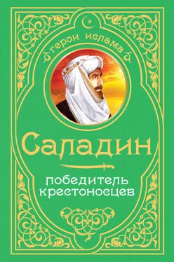 А. Владимирский Саладин. Победитель крестоносцев обложка книги