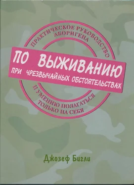 Джозеф Бигли Практическое руководство аборигена по выживанию при чрезвычайных обстоятельствах и умению полагаться только на себя обложка книги