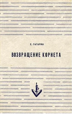 Евгений Гагарин Возвращение корнета. Поездка на святки обложка книги