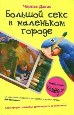 Чарльз Дэвис Большой секс в маленьком городе обложка книги