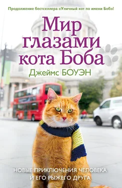 Джеймс Боуэн Мир глазами кота Боба. Новые приключения человека и его рыжего друга