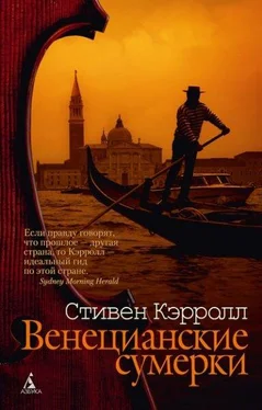 Стивен Кэрролл Венецианские сумерки обложка книги