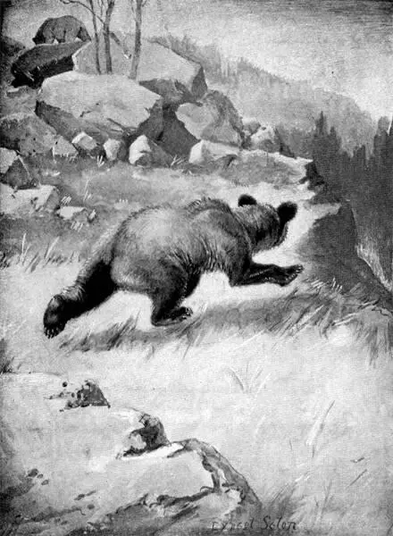 THE ROACHBACK FLED INTO THE WOODS It was Wahb He had been failing in - фото 106