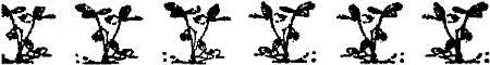 The piñons bore plentifully that year and the winds began to shower down the - фото 28