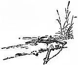 He lay down under the bushes and intent on deliberately crushing the thing - фото 34