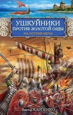 Виктор Карпенко Ушкуйники против Золотой Орды. На острие меча обложка книги