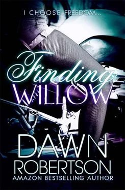 Dawn Robertson Finding Willow обложка книги