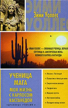 Эйми Уоллес Ученица мага. Моя жизнь с Карлосом Кастанедой обложка книги